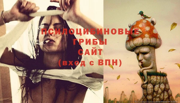 синтетический гашиш Нефтегорск