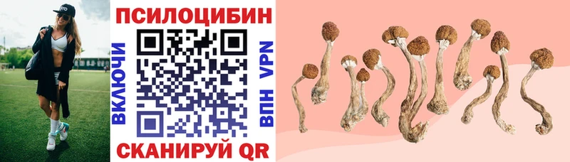 Псилоцибиновые грибы Psilocybine cubensis  купить закладку  МЕГА зеркало  Облучье 